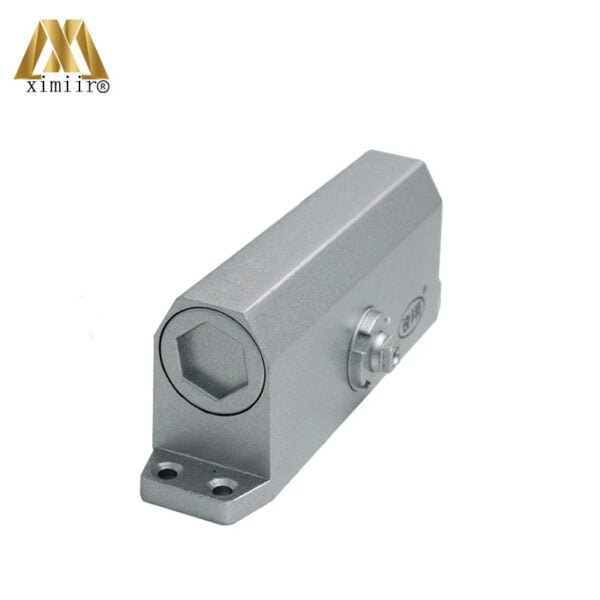 Ferme porte automatique