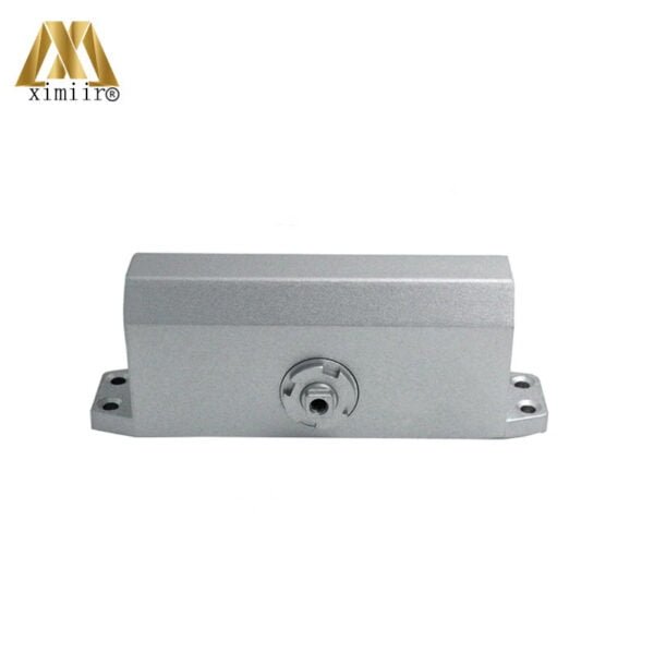 Ferme porte automatique